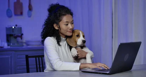 Side view shot of a young, happy and beautiful Asian woman working with cute bea Video stock 153518765