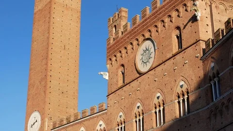 Side view of Siena Piazza Campo Stock Footage 73102436