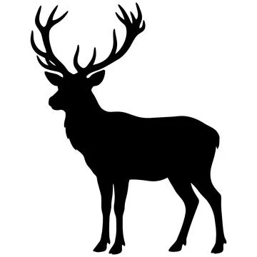 Side view silhouette of a standing deer stag with large antlers on white ba.. Stock Illustration