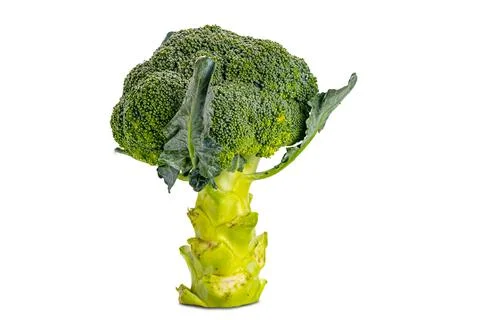 Side view of single fresh broccoli isolated on white background Stock Photos