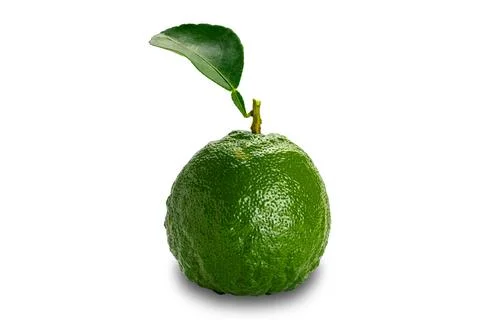 Side view of single green sour or bitter orange with leaf. Foto stock