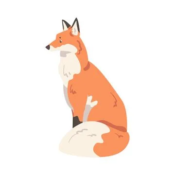 Side View of Sitting Red Fox, Wild Predator Forest Mammal Animal Cartoon Vector Stock Illustration