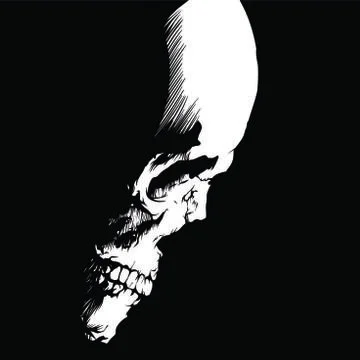 Side view of a skull on a black background 库存插图