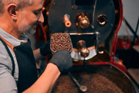 Side view smiling unshaved master smelling coffee grains while keeping them i Stock Photos