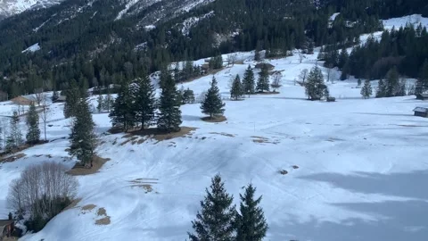 Side View Of Snow Covered Forest Stock Footage 237337670