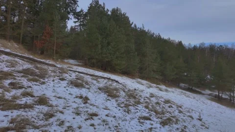 Side view of snow-covered forest in winter on an overcast day 2 Stock-Footage 330924297