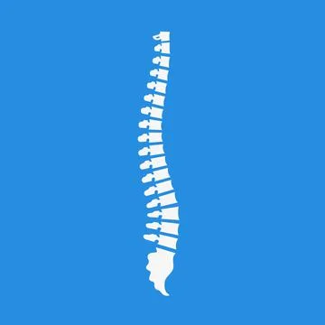 Side view of the spine on blue background Stock Illustration