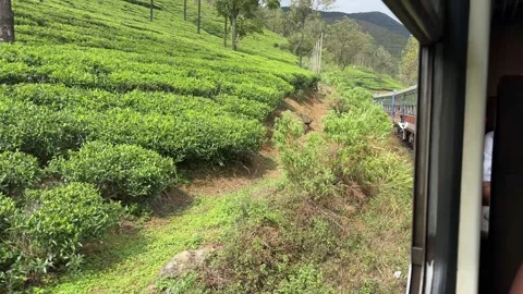 Side view on a Sri Lankan train tour between Ella and Kandy Stock Footage 318175185