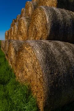 Side View of Stacked Round Straw Bales in Rural Farmland Stock Photos