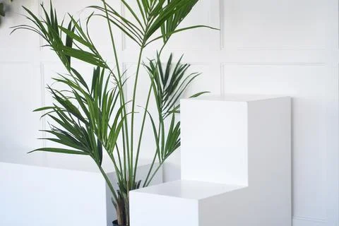 Side view, stand layout for product presentation. Minimal concept. Abstract Stock Photos