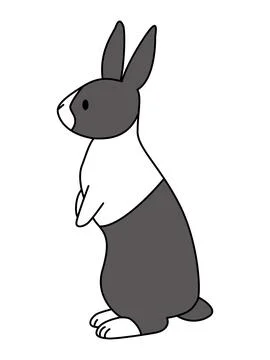 Side view of a standing dutch rabbit. Stock Illustration