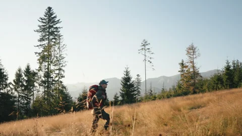 Side view steady shot man hiker walking through tall dry grass on hill field Stock Footage 290154676