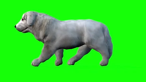 Side View Stroll: 3D Animation of a Cute Dog 스톡 동영상 288324827