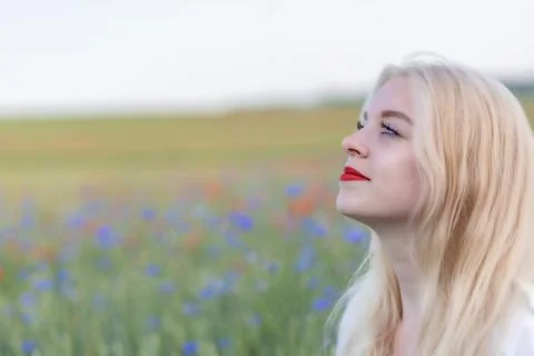 Side view of sunbathing beautiful young woman posing in summer field Stock Photos