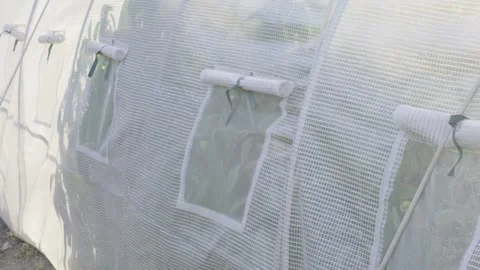 Side View of Sunlit Greenhouse Mesh Panels with Rolled-Up Vent Windows Stock Footage 342578973