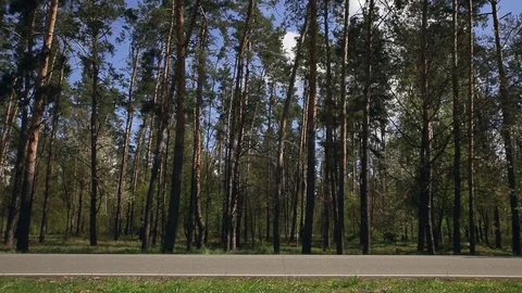 Side view of SUV car driving through scenic road. Video stock 78626243