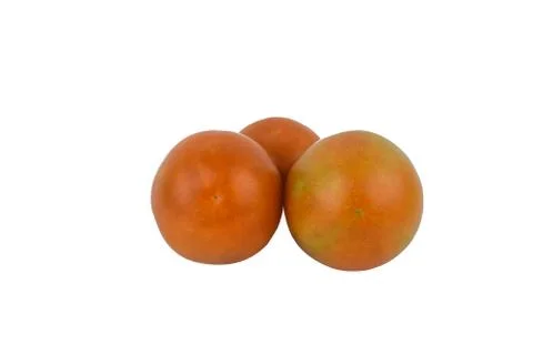 Side view of three medium sized red colored ripe tomato isolated in a white p Stock Photos