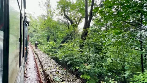 Side view of train driving on railroad among green trees in sloppy forest. Stock Footage 248033591