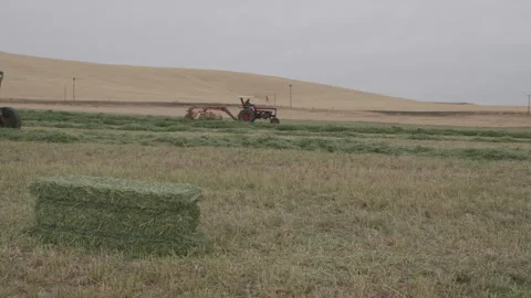 Side view of two tractors bailing hay in Oregon, static shot Stock Footage 332255262