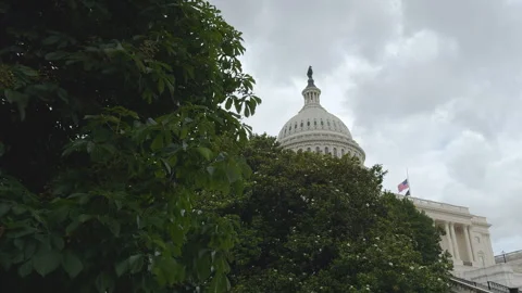 Side view of U.S. Capitol steps and gardens Stock Footage 320797732