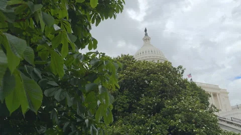 Side view of U.S. Capitol steps and gardens Stock Footage 320798790