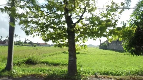 Side View, Vehicle Shot, Driving on the road, Bali, Indonesia Video stock 252087702