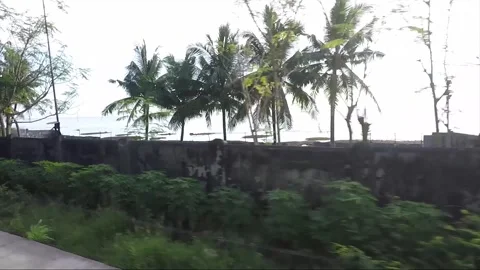 Side View, Vehicle Shot, Driving, View from the road, Catmon, Cebu, Philippines Stock Footage 255046944