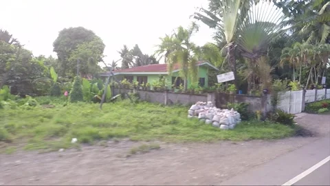 Side View, Vehicle Shot, Driving, View from the road, Catmon, Cebu, Philippines Stock Footage 255292005