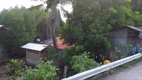 Side View, Vehicle Shot, Driving, View from the road, Catmon, Cebu, Philippines 動画素材 255457103