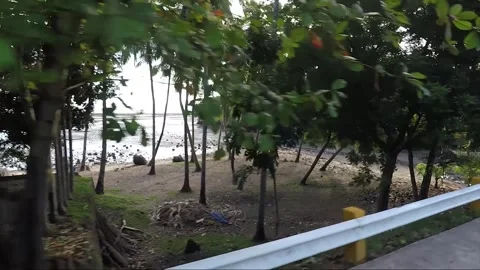 Side View, Vehicle Shot, Driving, View from the road, Catmon, Cebu, Philippines Stock Footage 255460486