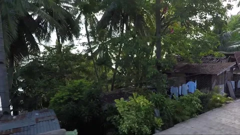 Side View, Vehicle Shot, Driving, View from the road, Catmon, Cebu, Philippines Stock Footage 255461302
