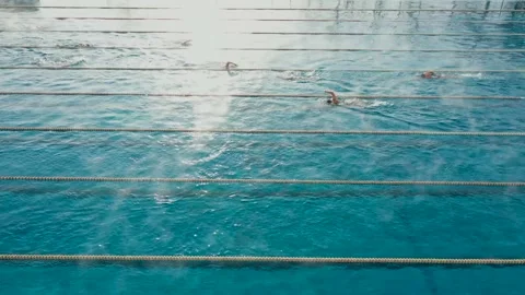 Side view video of swimming pool centre with people practising in sport swimming Stock Footage 194788897
