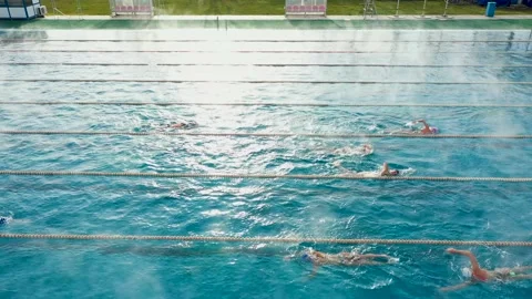 Side view video of swimming pool centre with people practising in sport swimming Stock Footage 195656406