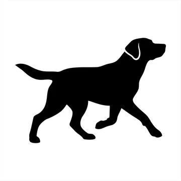 Side view of a walking dog silhouette illustration isolated on a white back.. Ilustração Stock