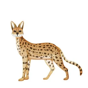 Side View of a Walking Spotted Serval Cat in Minimalist White Background Ilustração Stock