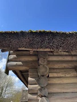 Side view of the wall of a log peasant house Foto stock