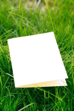Side view of white cardboard empty postcard mock-up of lawn green grass in park Stock Photos