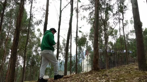 Side view of a white man looking at his cell phone walking uphill through a pine Stock Footage 164561428