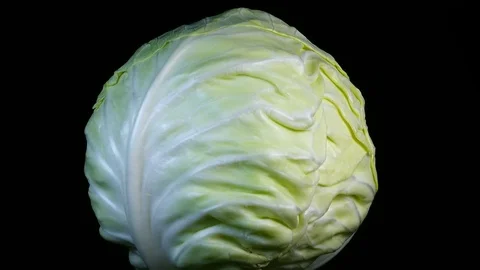 Side view of whole white cabbage head close up, rotating contra clockwise Video stock 78382831