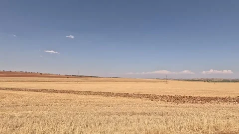Side view from a window car of a vast harvested field Stock Footage 297082109