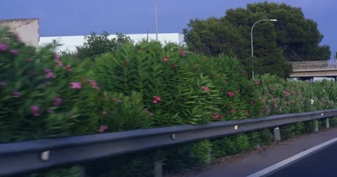 Side view from a window of a vehicle during the highway driving. Stock Footage 78636914