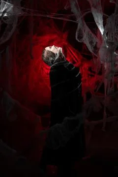 Side view of Women between spider webs on red bloody spider web background Stock Photos
