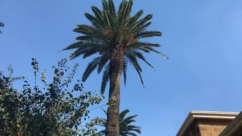 Side View from the yard of Cyprus Museum in Nicosia Stock Footage 89997577