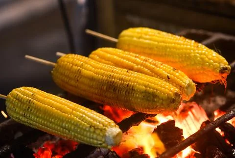 Side View of Yellow Corn Cobs Grilling on Wire Rack Above Hot Charcoal Flame Stock Photos