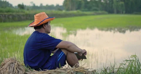 Side view of young farmer wearing blue shirt take off a straw hat and sitting 스톡 동영상 202153527