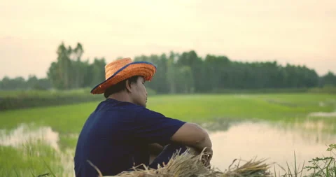 Side view of young farmer wearing blue shirt take off a straw hat and sitting Stockbeeldmateriaal 202153550