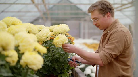 Side View Of Young Happy Man Gardener Cutting Flower For A Bouquet Stock Footage 143490175