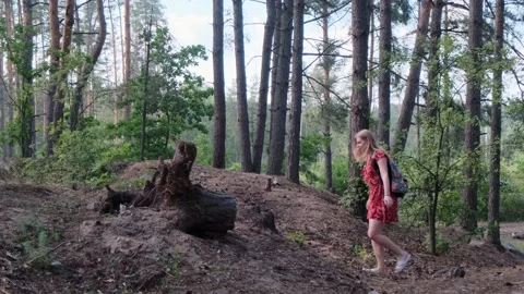 Side view of a young woman with a backpack walking in a pine forest Stock Footage 134393012