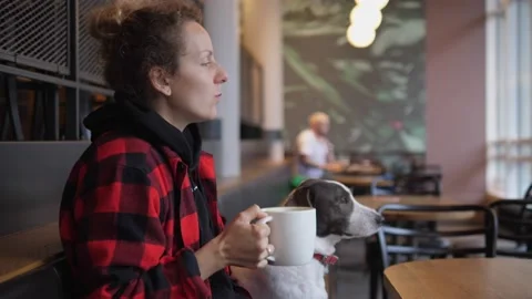 Side view of young woman drinking coffee and hugging and kissing her brown and Stock Footage 139841118
