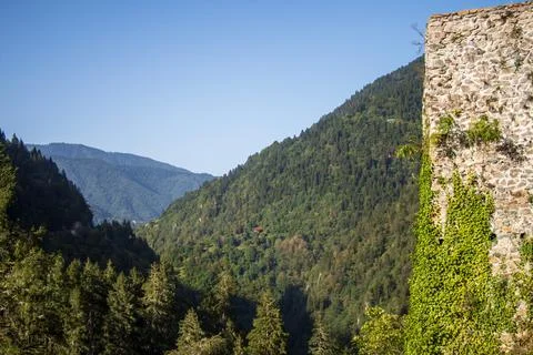 Side view of Zilkale and panoramic image of forest Stock Photos